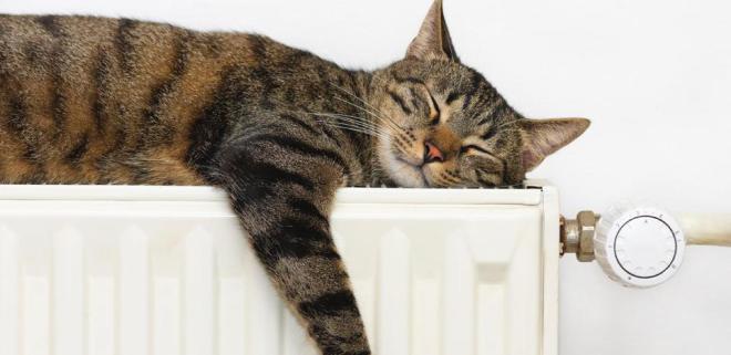 Un chat qui dort sur un radiateur